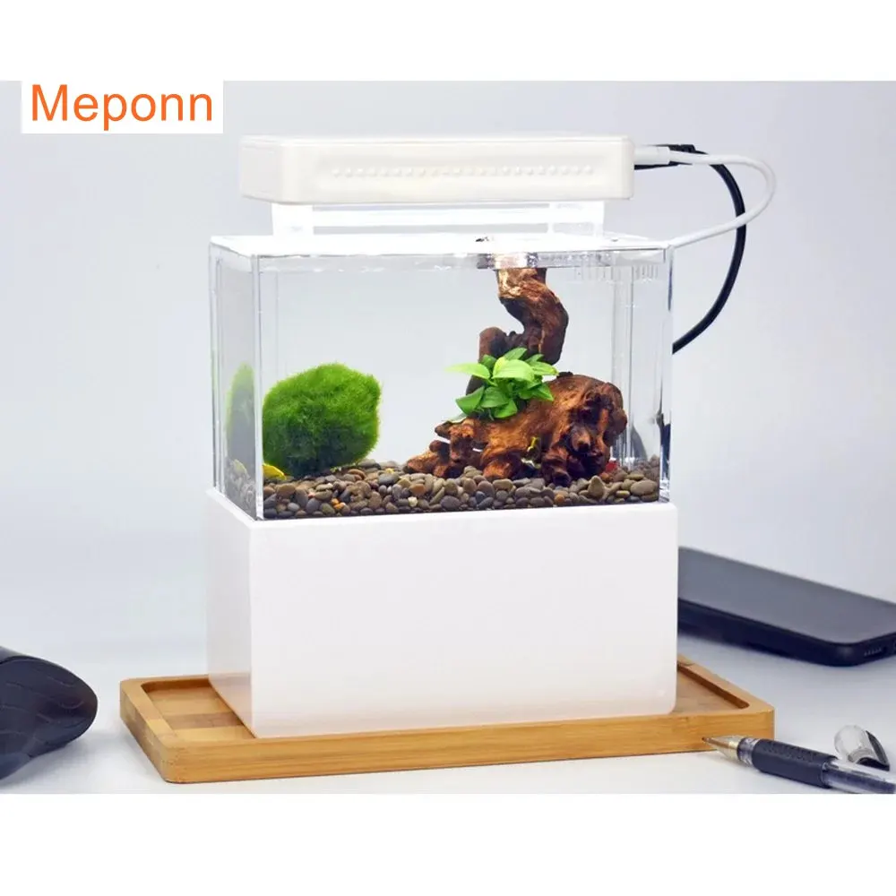 Plantes Aquarium Sans Sol Nutritif
