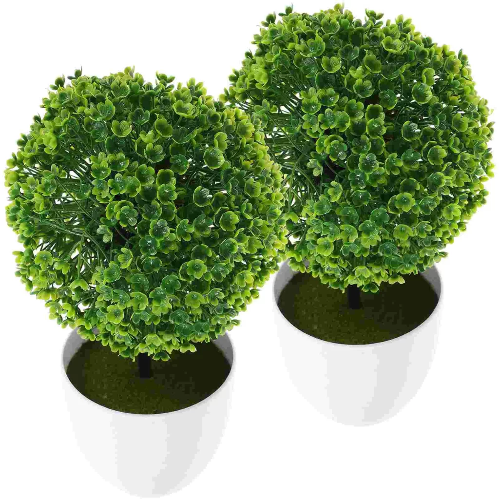 Plante Topiaire