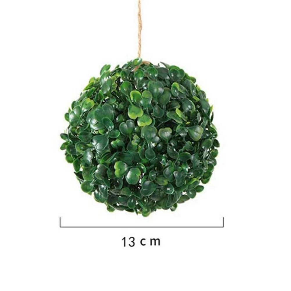 Plantes Ventre Plat