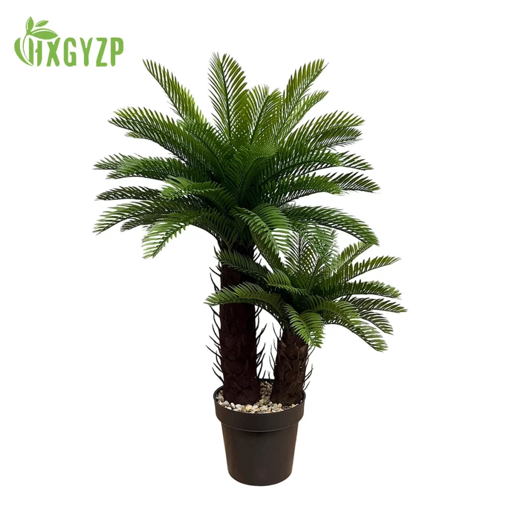 Fibre De Coco Plante DʼIntérieur