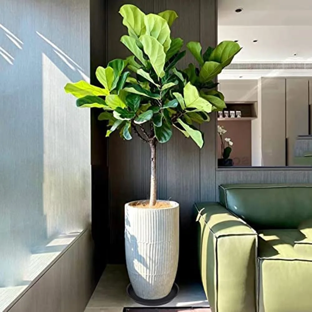 Plateau Table De Jardin