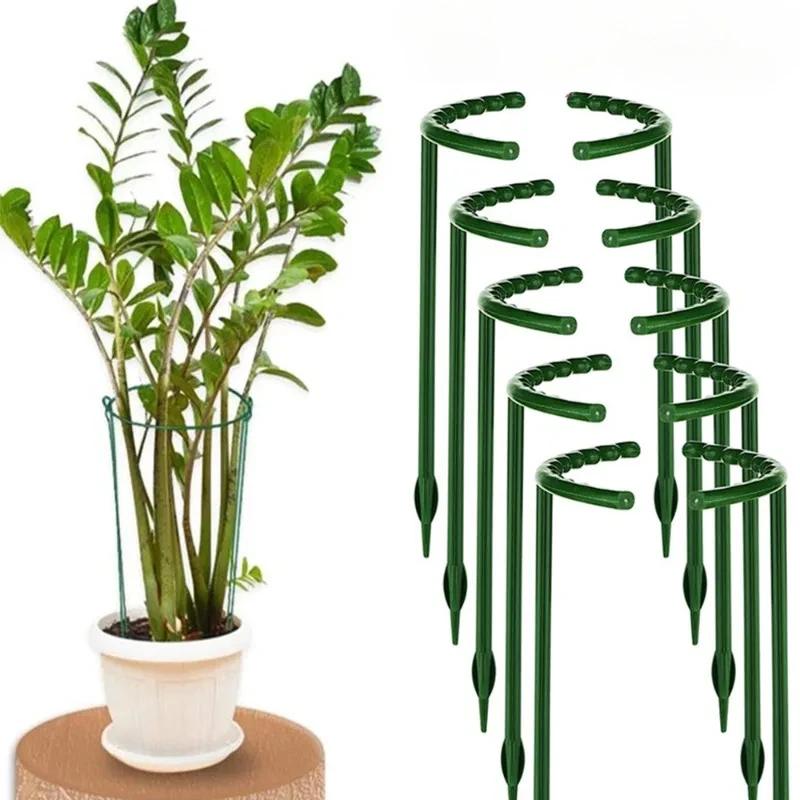 Livraison Plante Intérieur