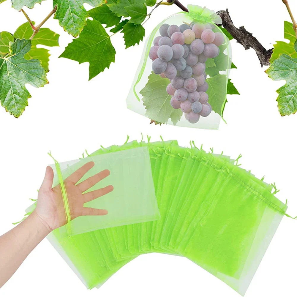Conteneur Jardin