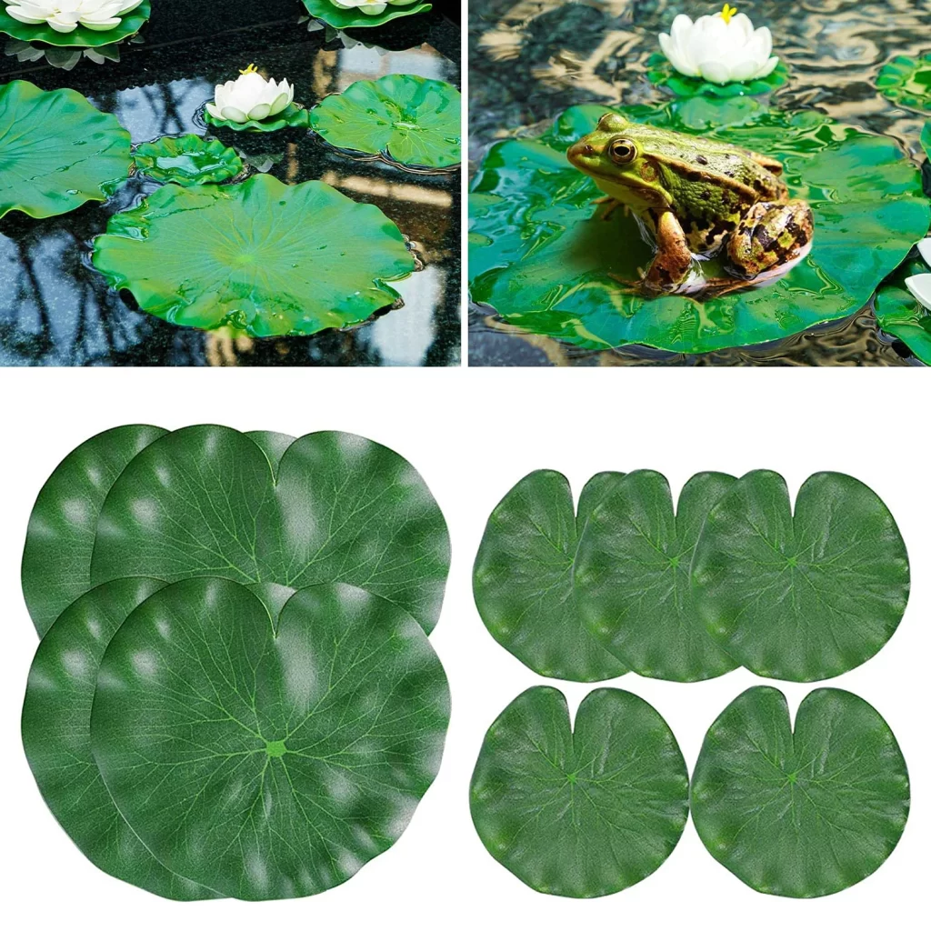 Bassin Aquatique Jardin