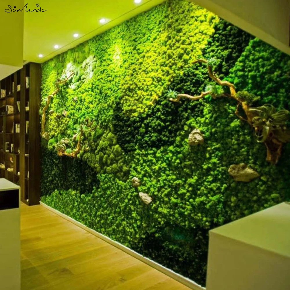 Plante Stabilisee