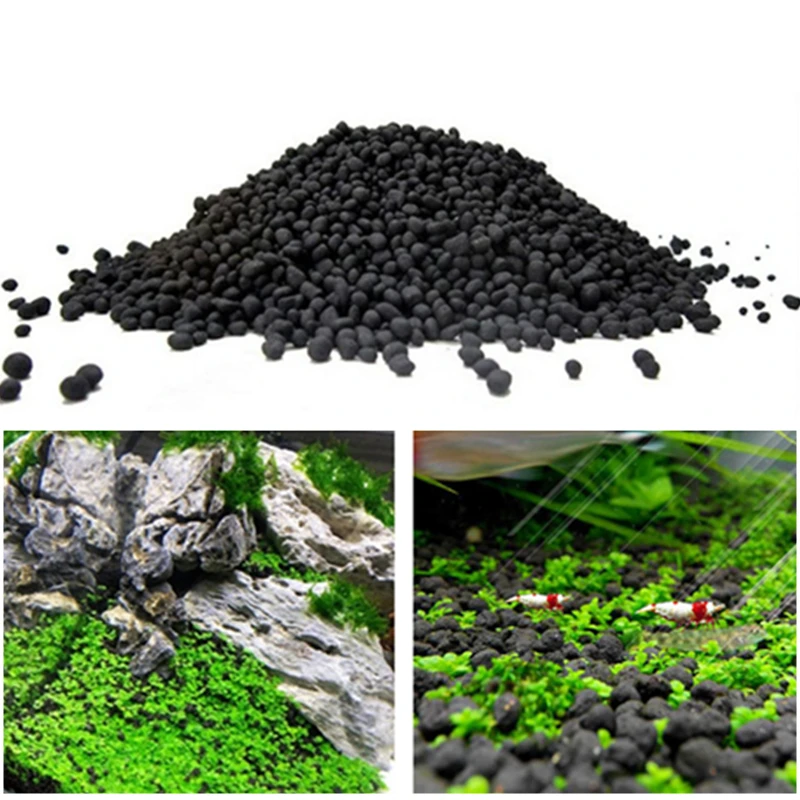 Plantes Aquarium Sans Sol Nutritif