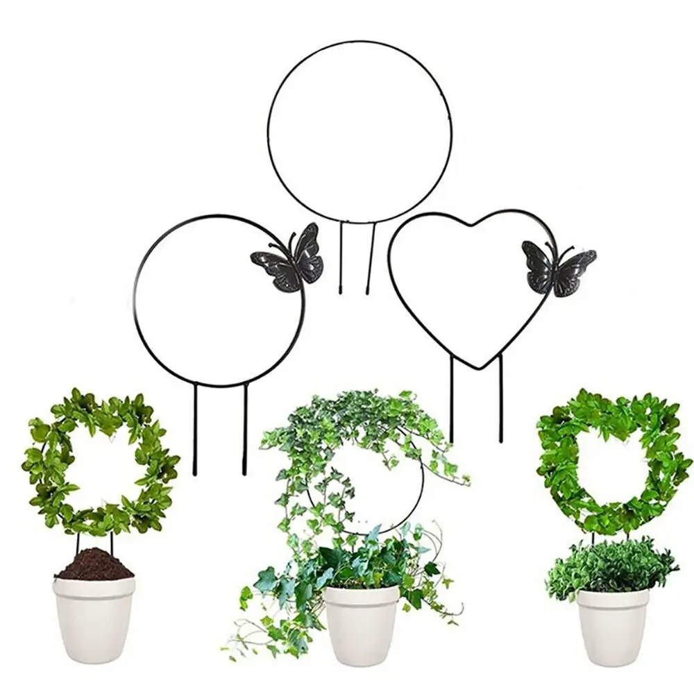 Structure Métallique Pour Plantes Grimpantes