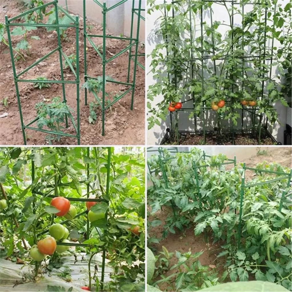 Potager A Etage