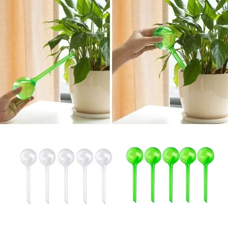Bulle DʼEau Plante