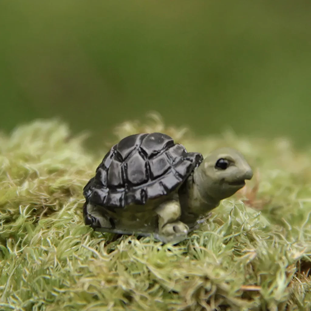 Tortue Décorative Pour Jardin