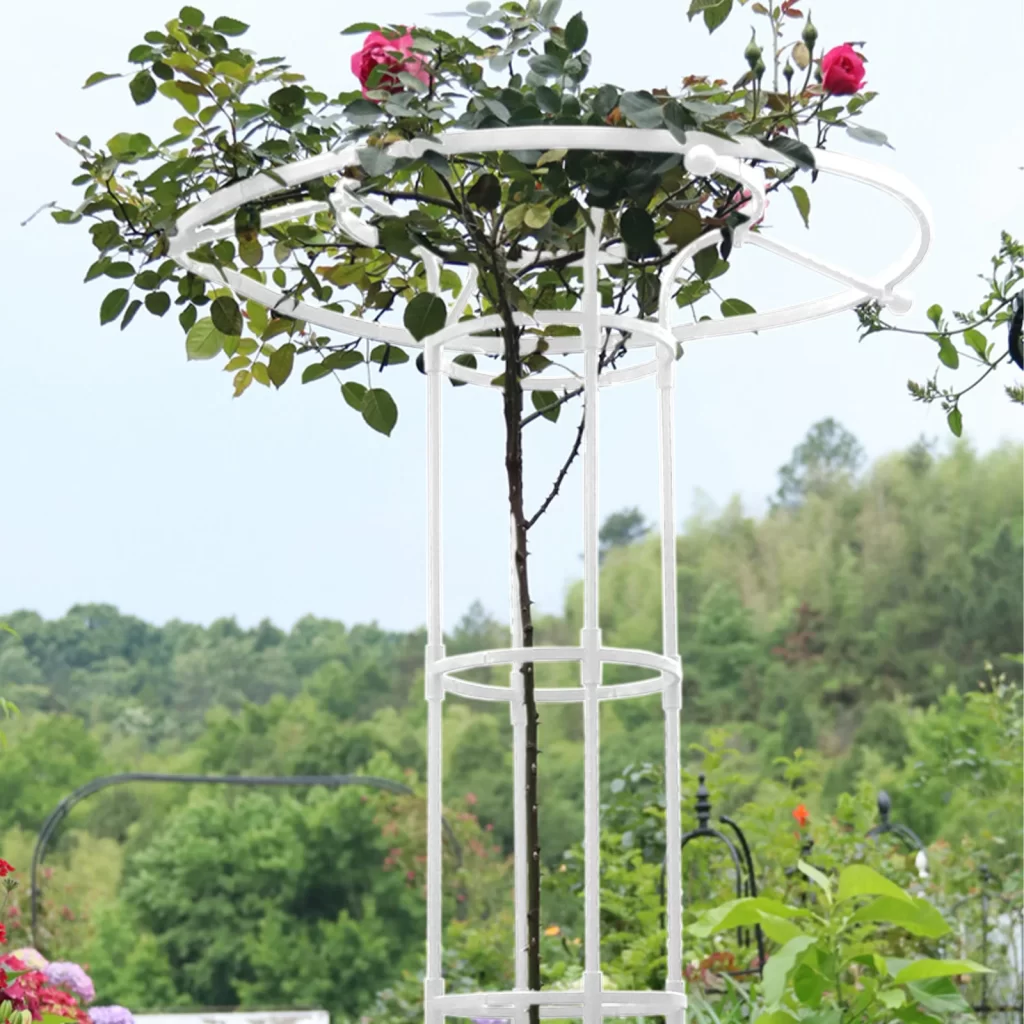 Mur D Escalade Jardin