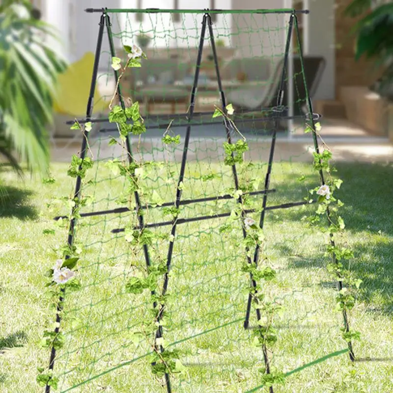 Mur DʼEscalade Jardin