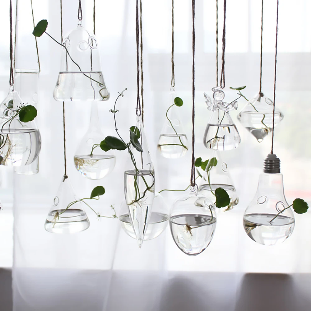 Terrarium Fermé Plante