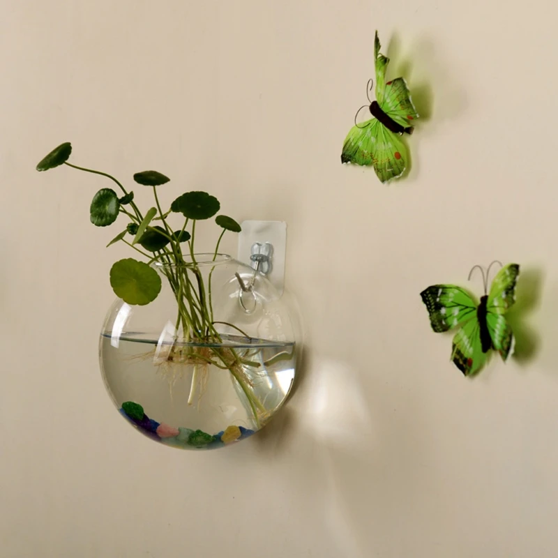 Plantes Pour Terrarium Fermé