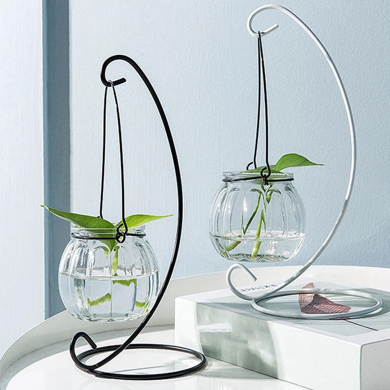 Terrarium Plante Fermé