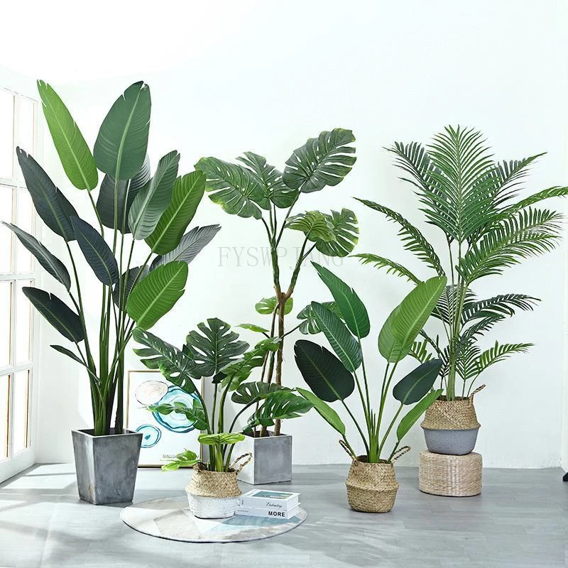 Plante Stabilisee