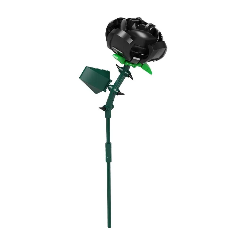 Bouquet de plantes