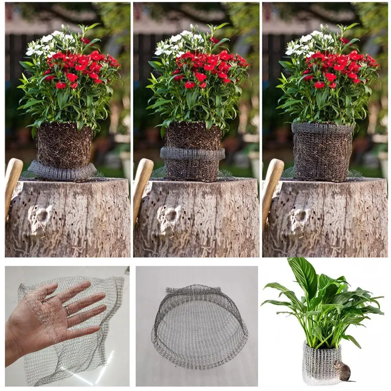 Paniers métalliques pour la protection des baies