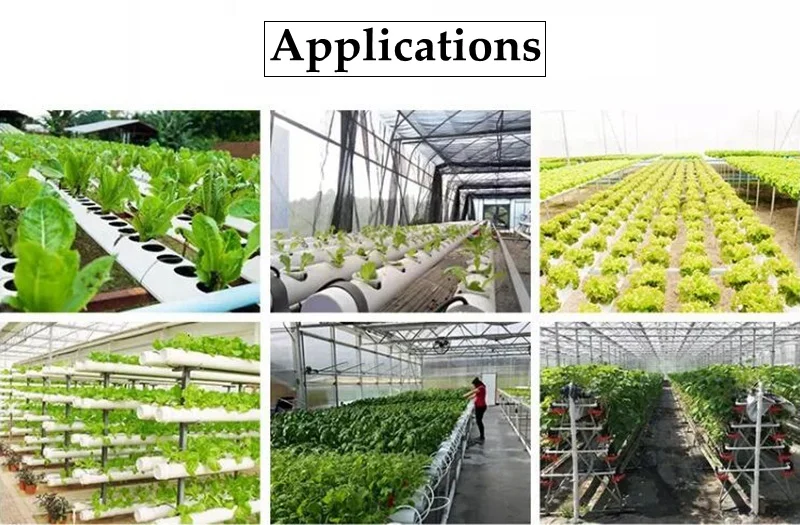 Paniers de Clone de Système Hydroponique