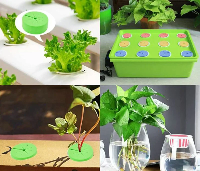 Paniers de Clone de Système Hydroponique