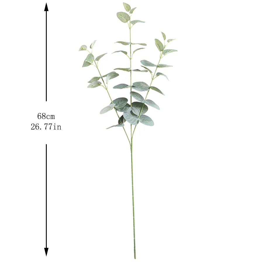 Eucalyptus vert