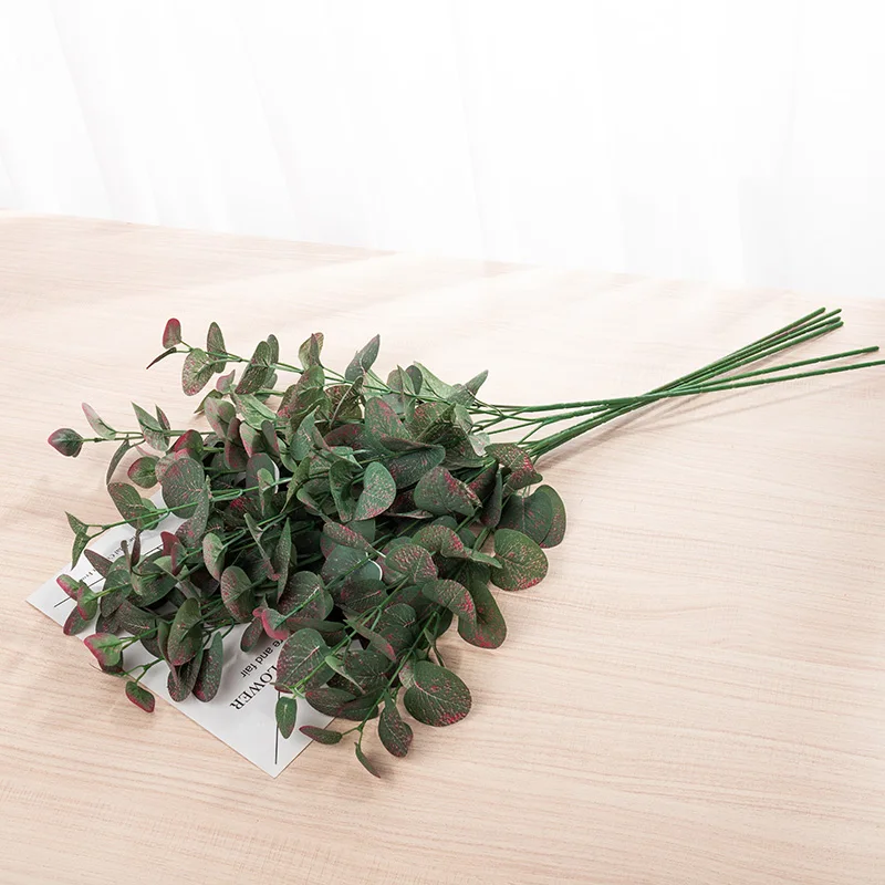 Eucalyptus vert