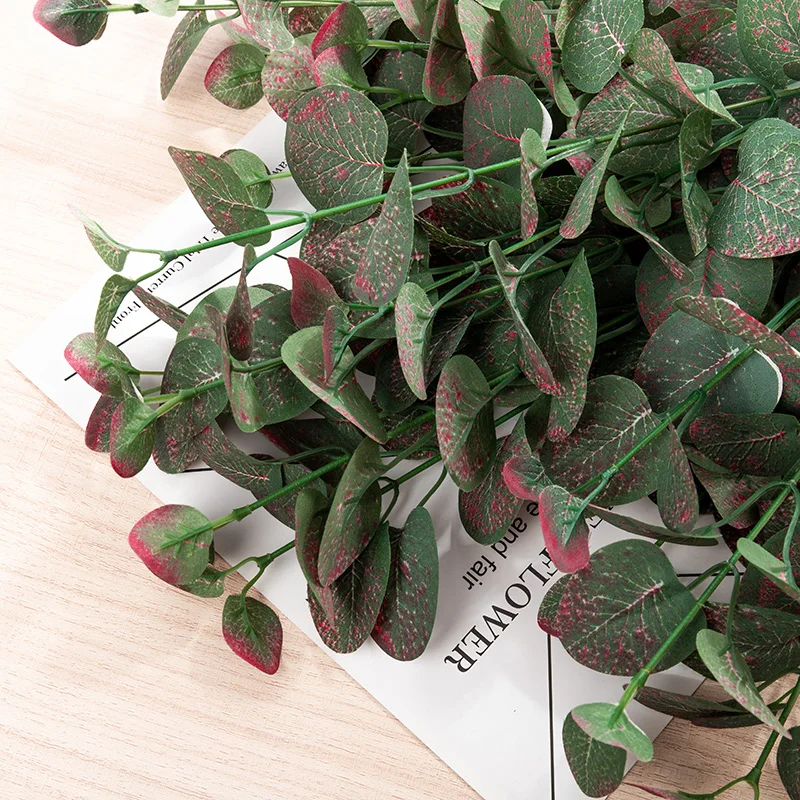 Eucalyptus vert