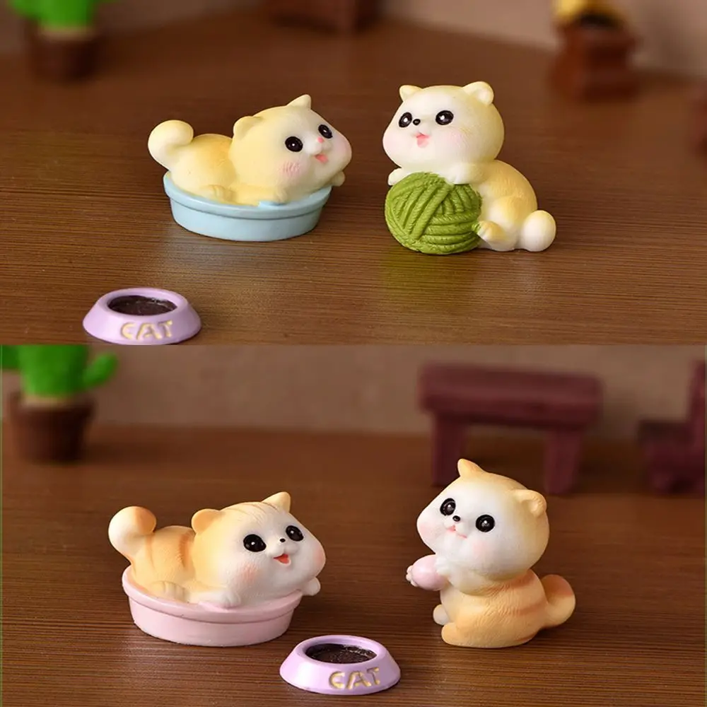 Mini chaton de jardin