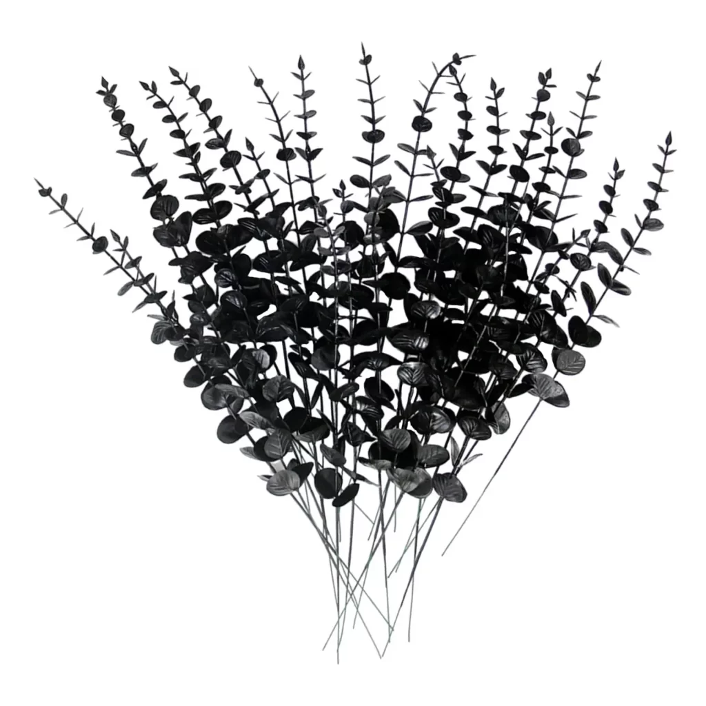 Eucalyptus Plante DʼIntérieur