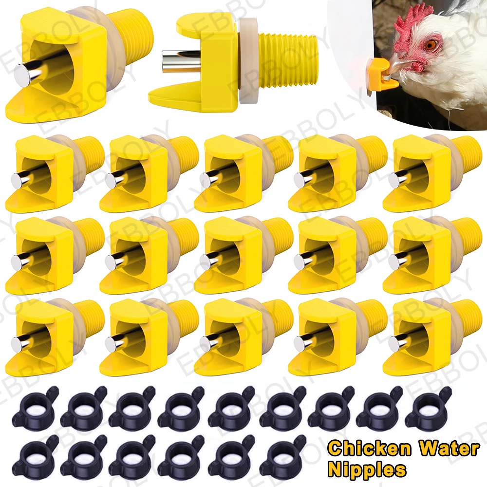 Pvc Arme Piscine