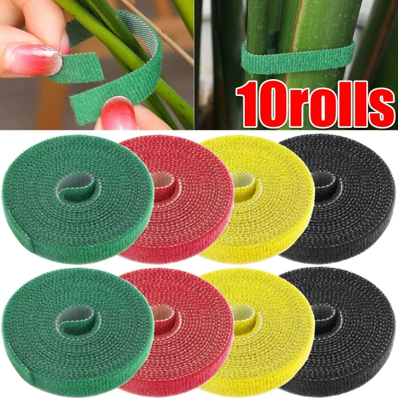 Livraison Plante Intérieur