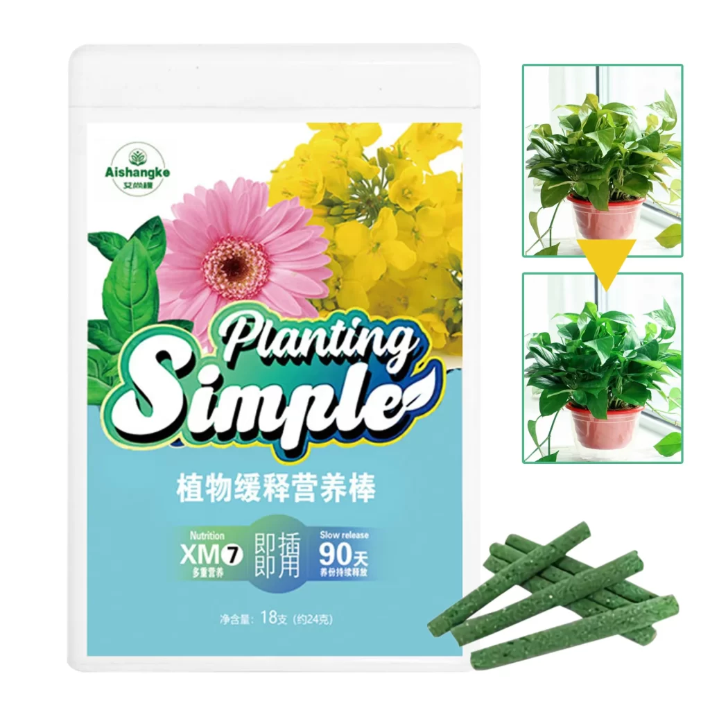 Plante Contre Constipation