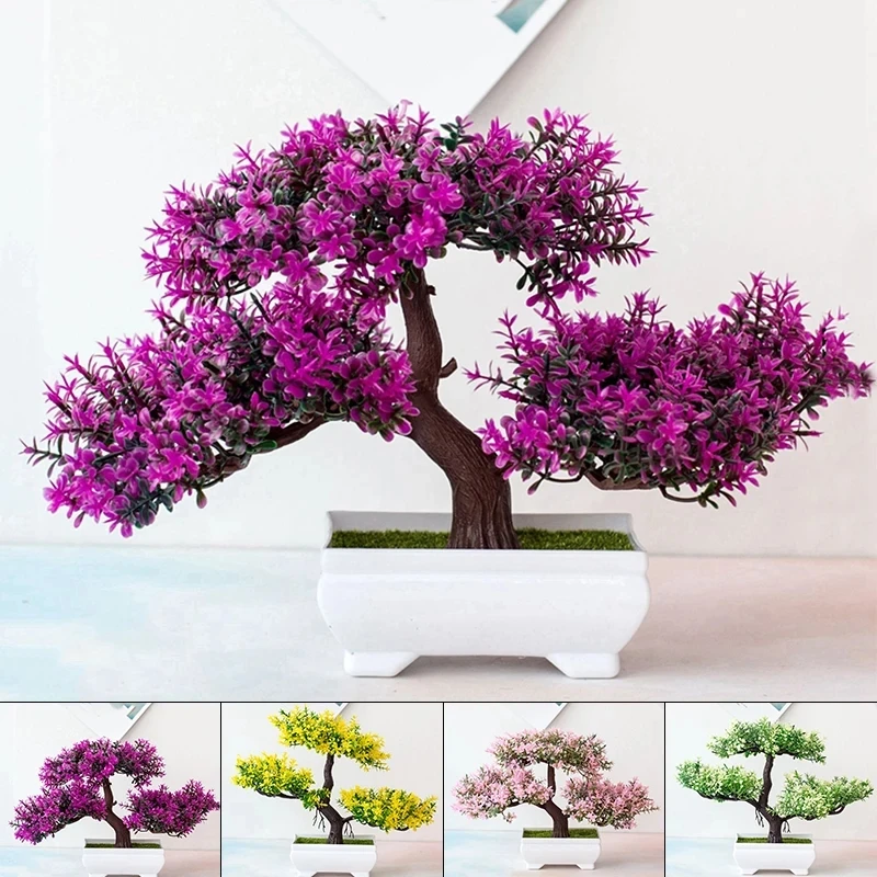 Livraison Plante DʼIntérieur