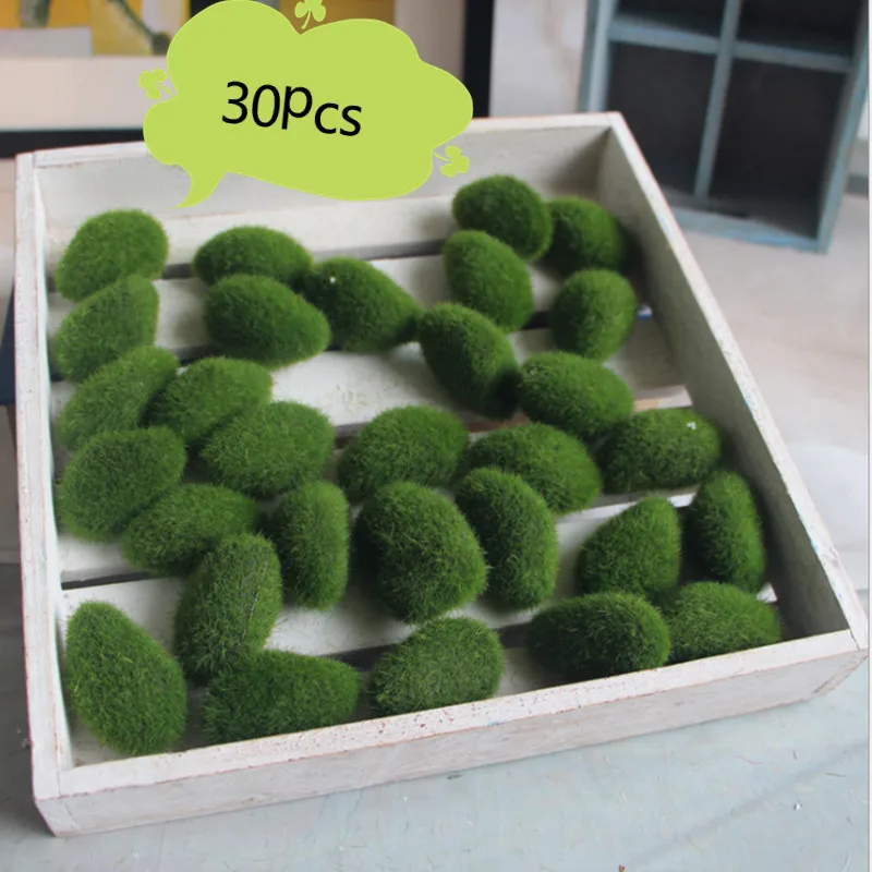 Plante Stabilisee