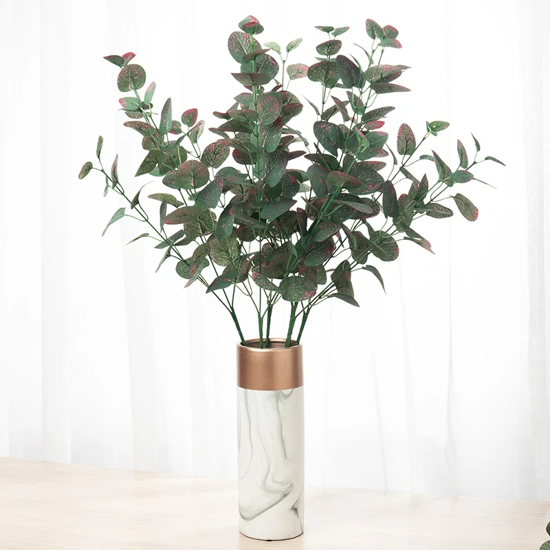 Eucalyptus vert