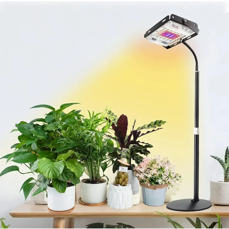 Plante Laxative Puissante