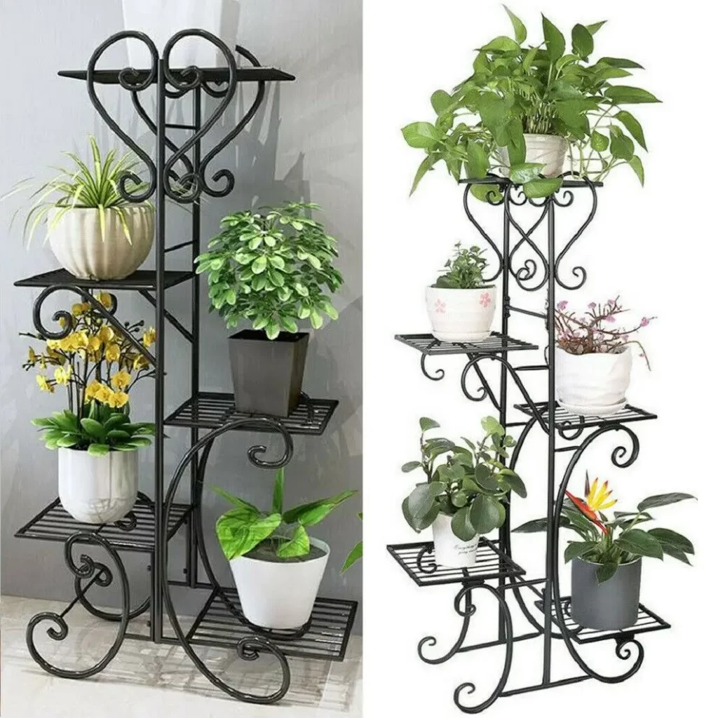 Vitrine Plantes