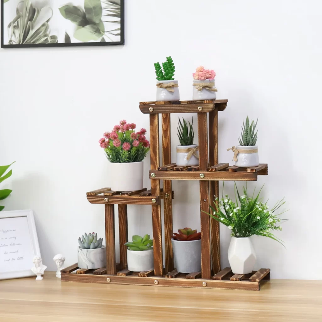 Vitrine Plantes