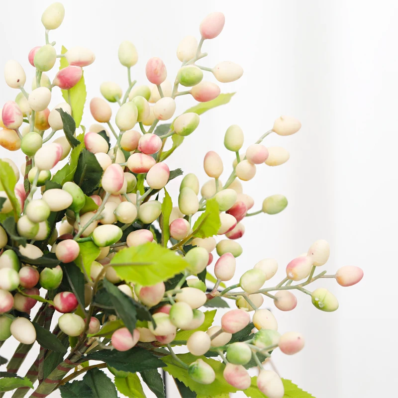 Terrarium Fermé Plante