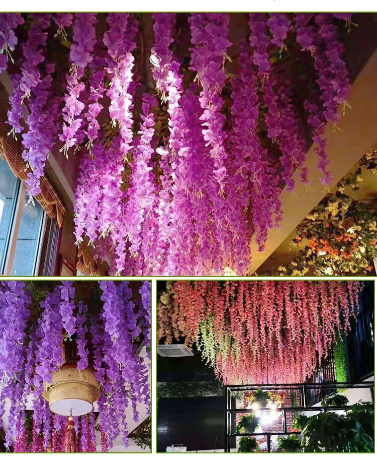 Vitrine Plantes