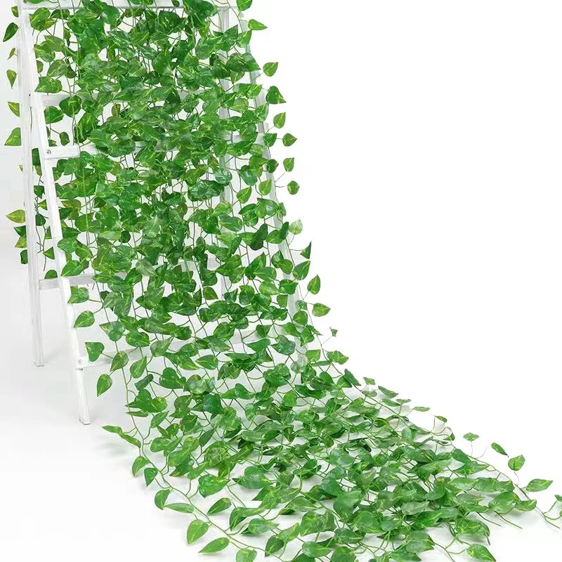 Pon Plante
