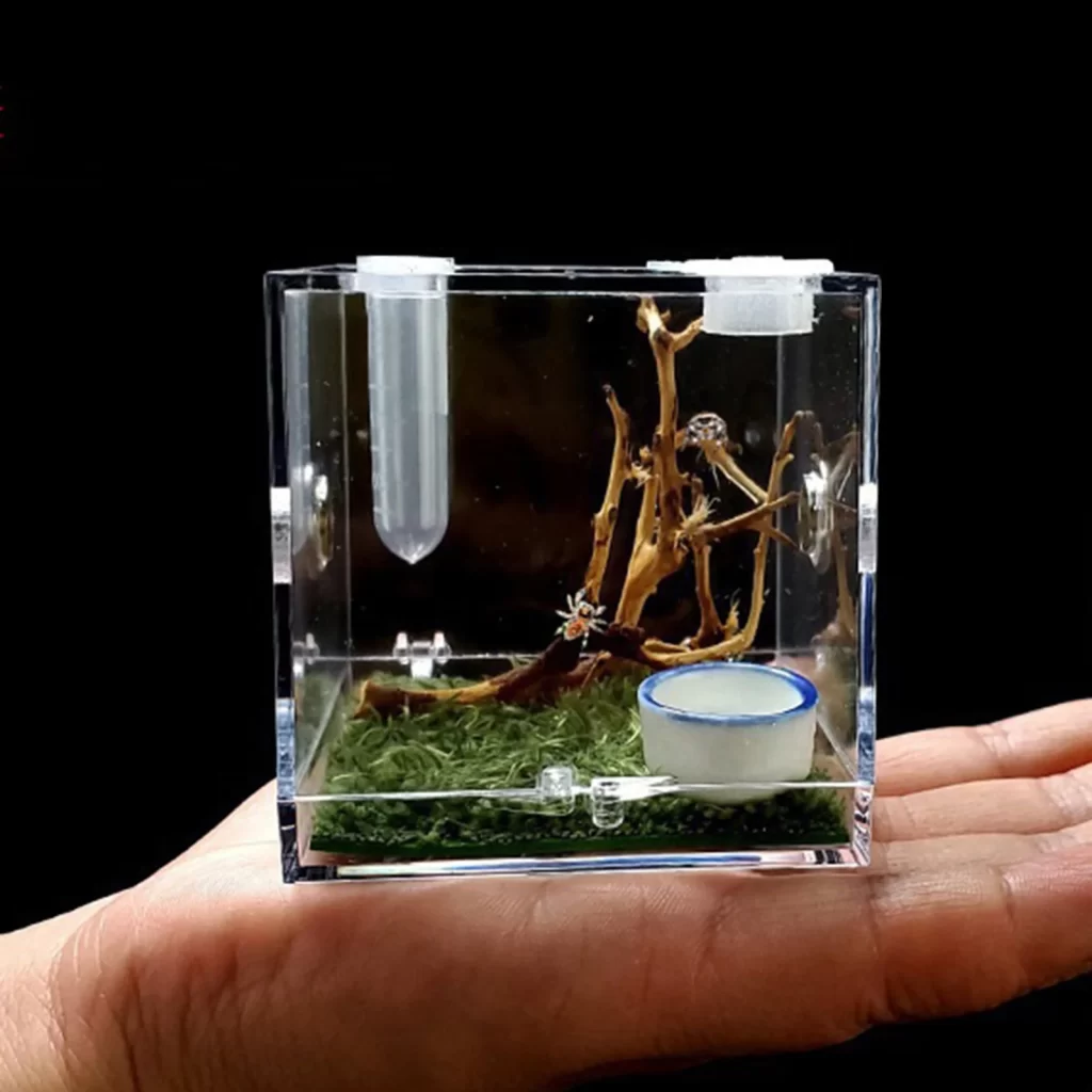 Terrarium Pvc