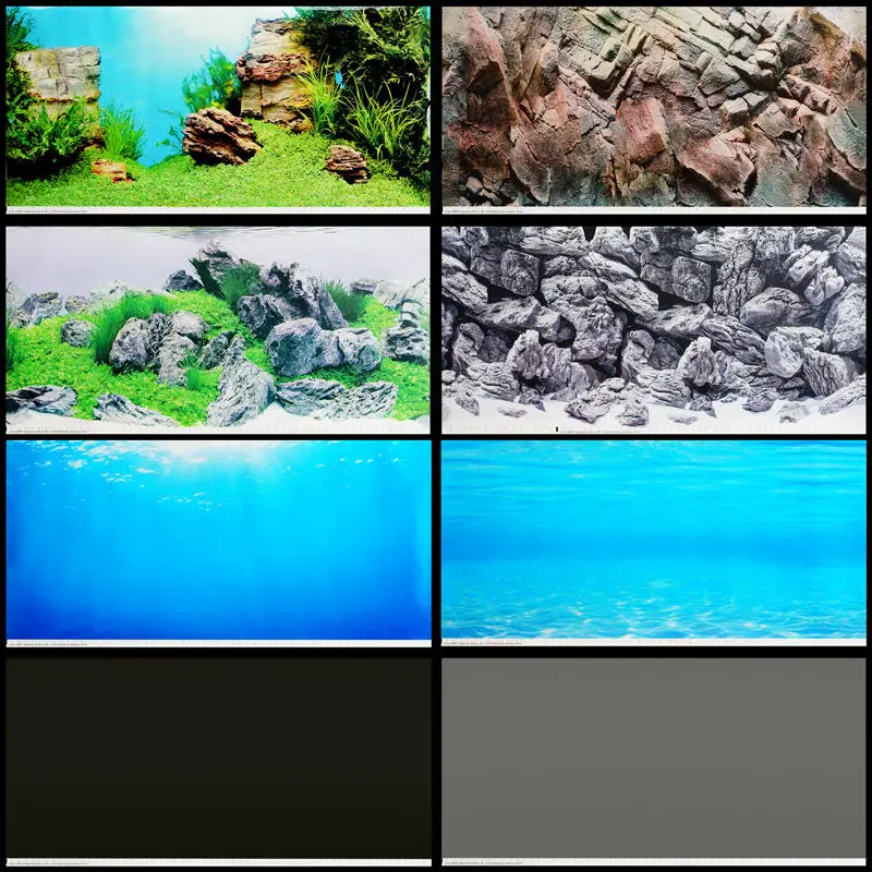 Plantes Aquarium Sans Sol Nutritif