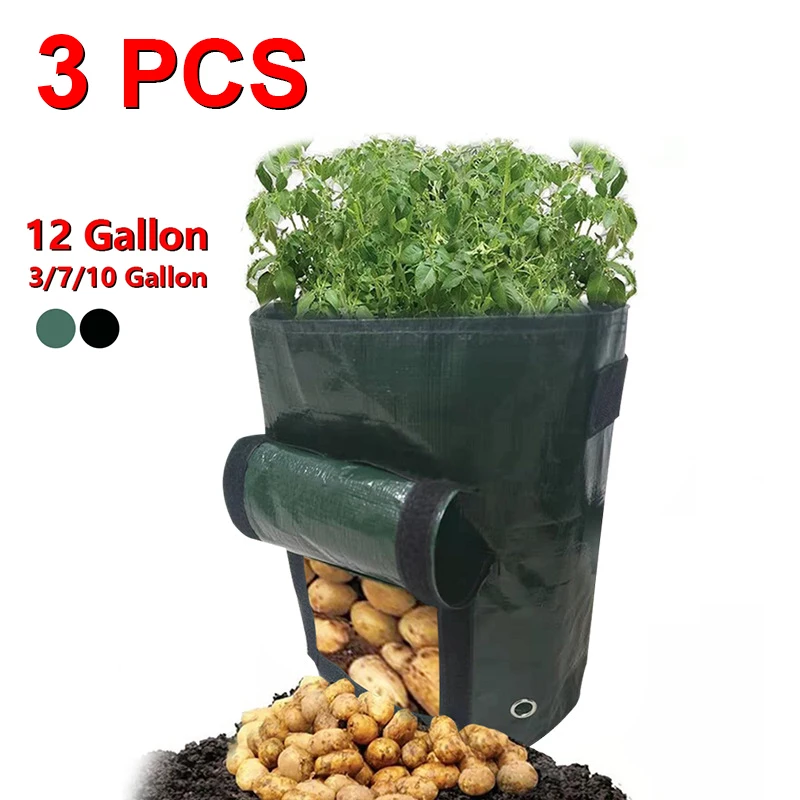 Bacs Potager
