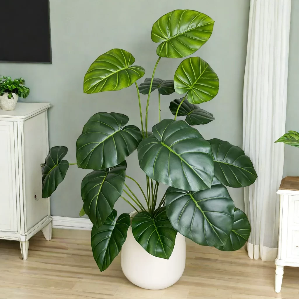 Plante Stabilisee