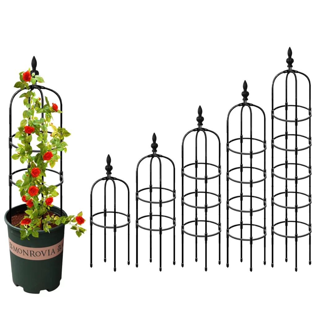Mur D Escalade Jardin