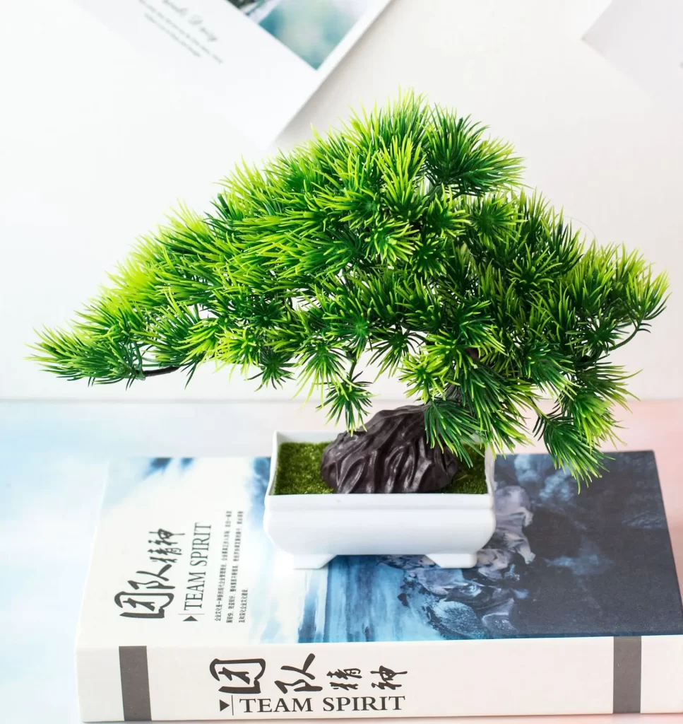 Plante Contre Anxiété