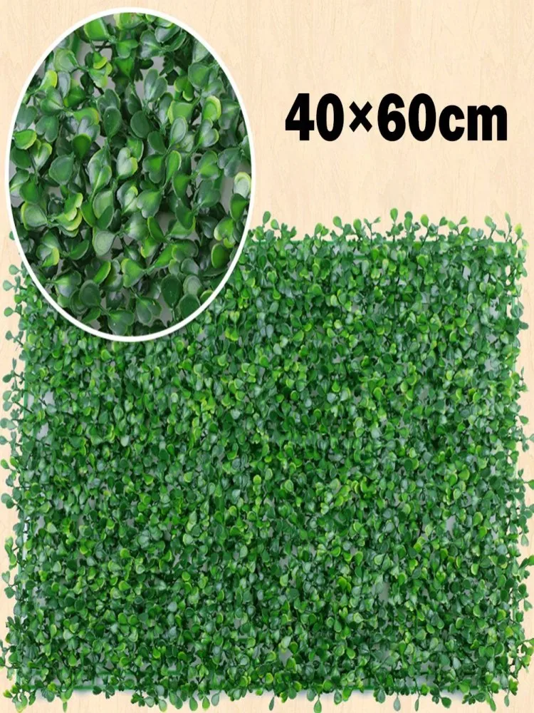 Plantes Pour Mur Végétal Extérieur
