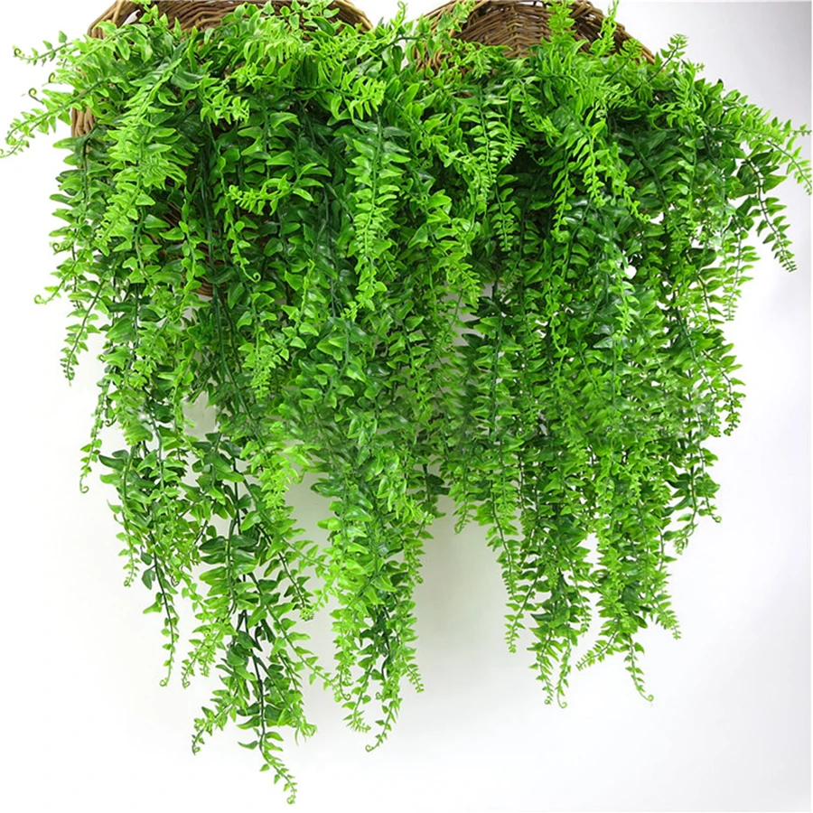 Livraison Plante DʼIntérieur