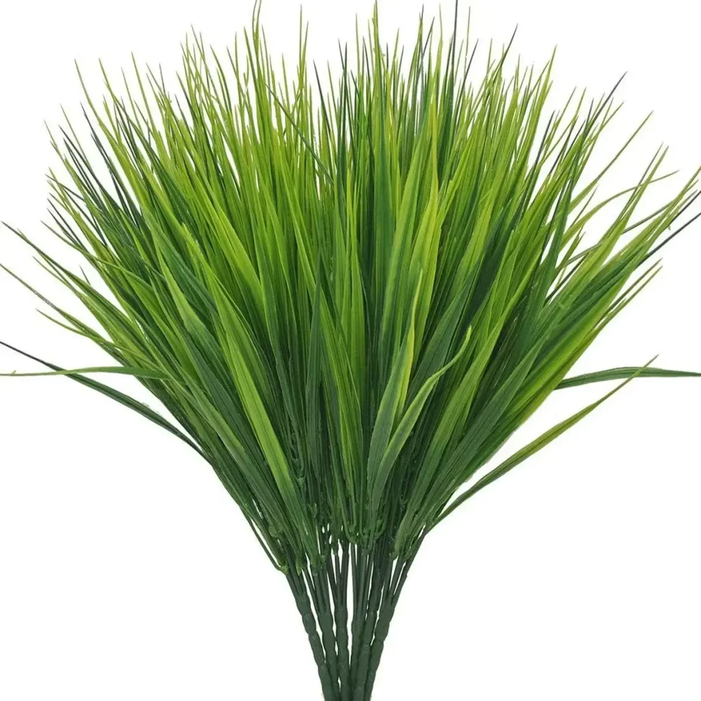 Plante A La Mode